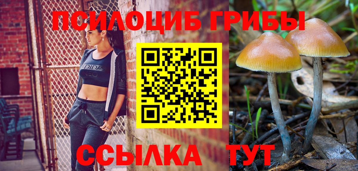 Псилоцибиновые грибы MAGIC MUSHROOMS  Вход с VPN  наркота  Ростов Великий 